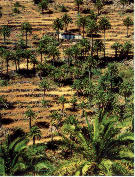La Gomera Island
